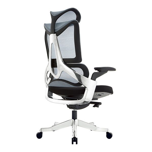 Ghế công thái học chống gù GXCTH01