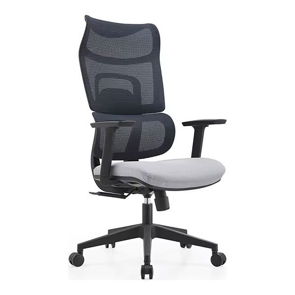 Ghế văn phòng công thái học giá rẻ GXCTH46