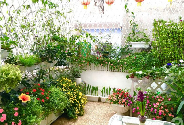 Góc sân vườn nhỏ 2